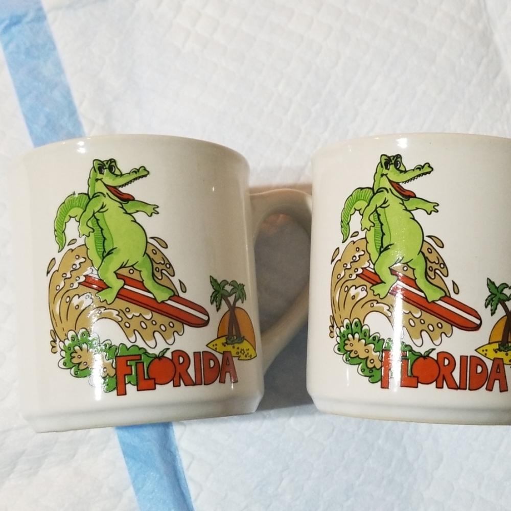 Florida coffee cups